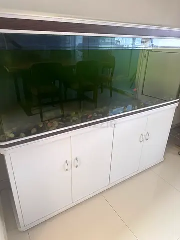 aquarium set with everything inside and some fish, need only clean inside and will be nice