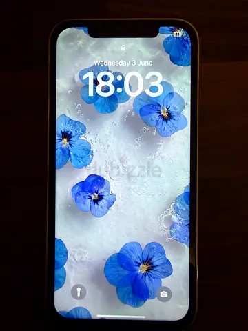 iPhone 12 Pro Max for sale 128 gb