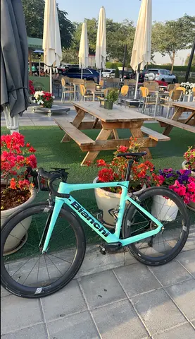 Bianchi Aria
