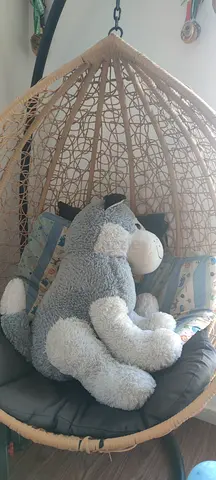 Swing