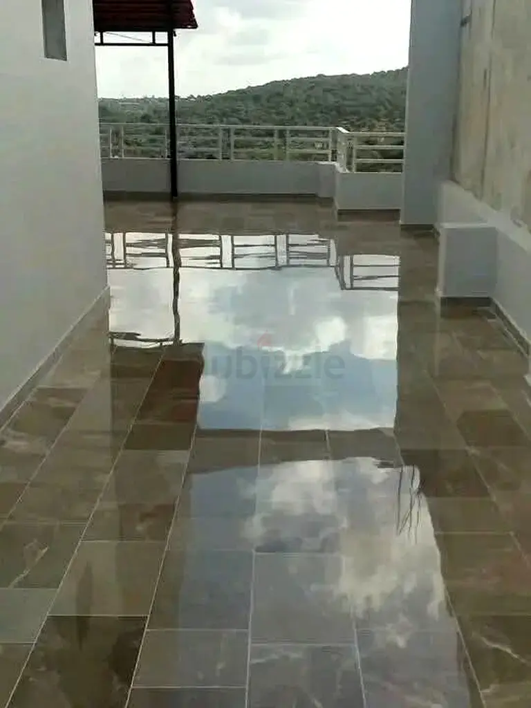 DPV_View_Image_2