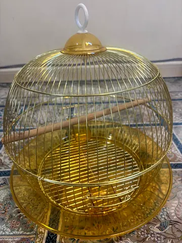 Cute Golden Cage