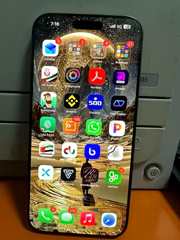 iPhone 16 pro max