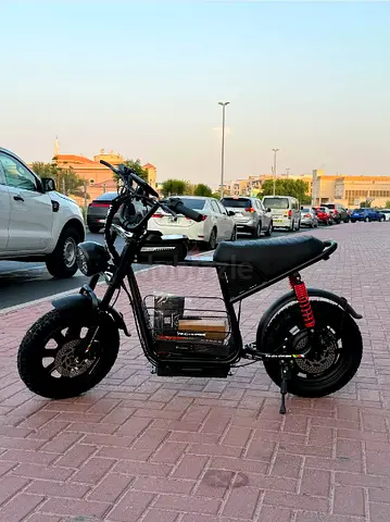 WIND HORSE D1 | 32 KM/H | 50 Km Range | 750W Motor