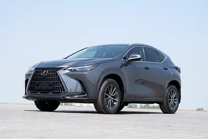 Lexus NX 300 Platinum 2024 - American Specs - Pristine Condition