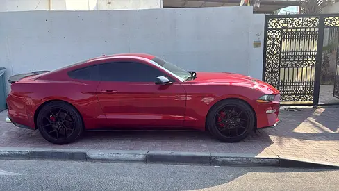 2020 Ford Mustang Ecoboost - Sleek American Spec Performance