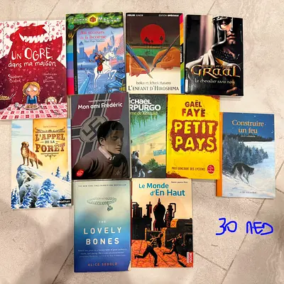 Collection of 11 french fiction & children's books — used, good condition