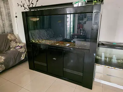 Large Black Aquarium Tank with sump filter & Cabinet Stand
