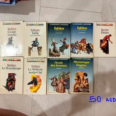 Classic French Literature Lot (Classiques Larousse) - 10 Paperbacks