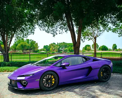 2026 Lamborghini TEMERARIO 照片 1