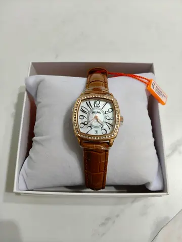 Classic Women's Analog Watch with Brown Leather Strap (New)