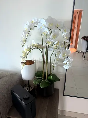 Set of artificial white orchid plants in black pots