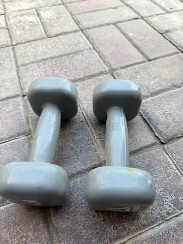 Reebok dumbbells 4kg