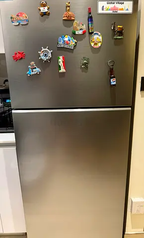 Stainless Steel Double-Door Refrigerator (Top Freezer)
