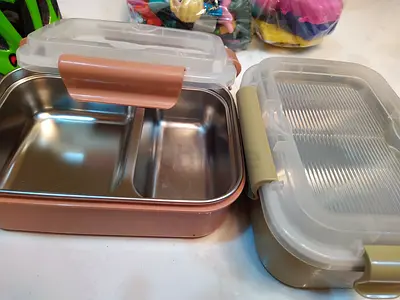 Set of 2 Stainless Steel Lunch Boxes with Airtight Lids