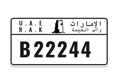 22244