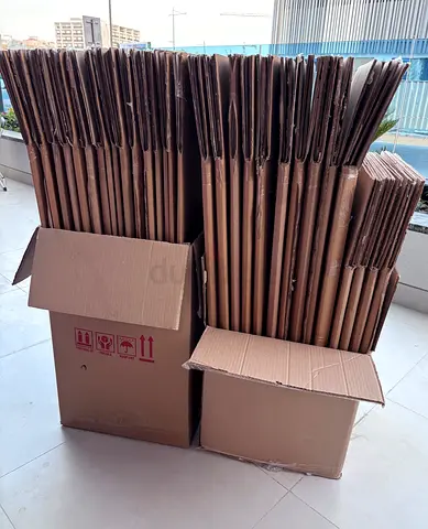 30 Moving Boxes - Used for One Day Only