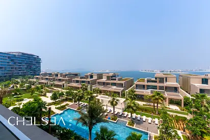 PALM AND OCEAN-SUNSET | SKYLINE VIEWS | EXCLUSIVE
