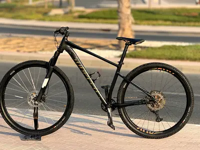 Sunpeed ace 29er