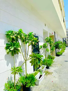 Amazing One bedroom behind of the Claro in Saab community Near to charge airport Amazing One bedroom