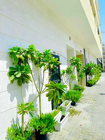 Amazing One bedroom behind of the Claro in Saab community Near to charge airport Amazing One bedroom behind of the Claro coffee in Saab community Near to Sharjah airport