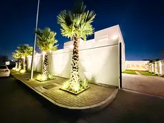 دبي ند الشبا 1