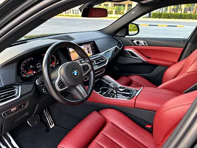 2021 BMW X6 照片 7