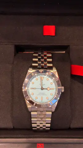 Tudor Black bay 54