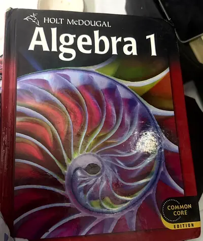 HOLT MCDOUGAL Algebra 1