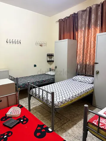 Vegetarian, executive Indian working ladies Bed Space