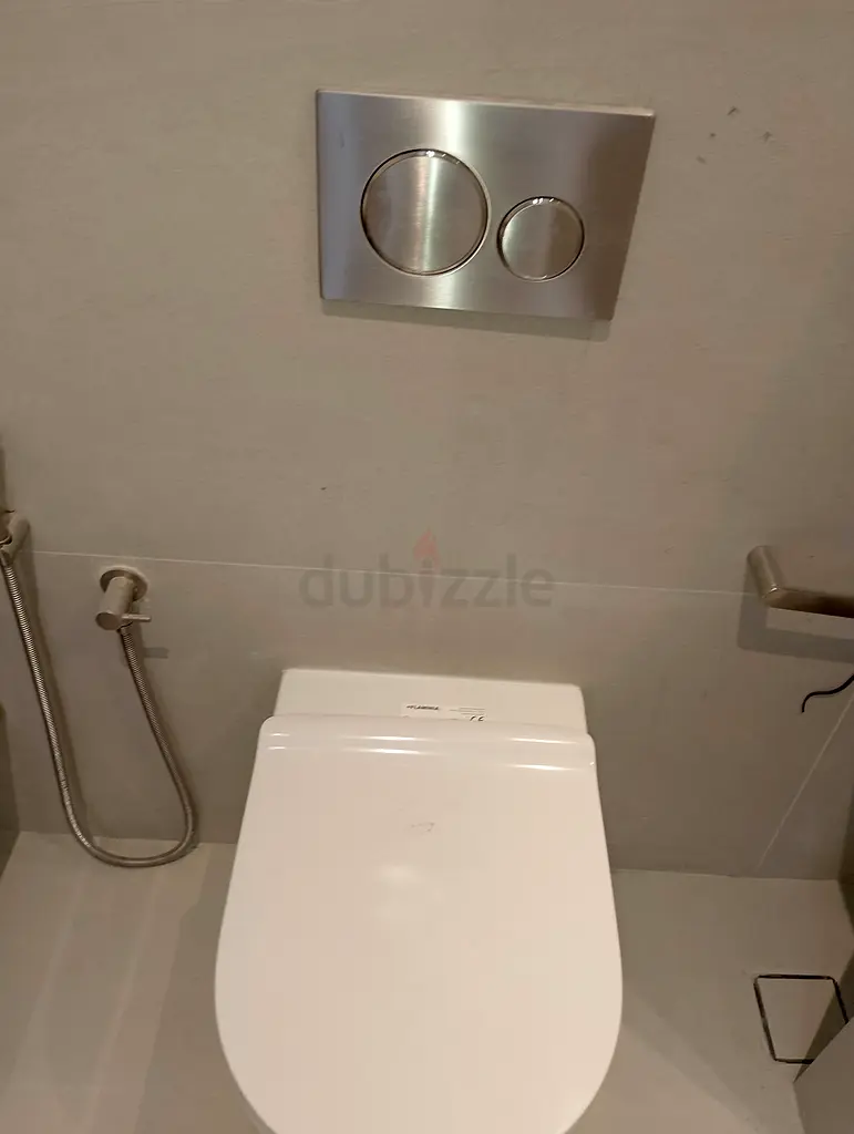 DPV_View_Image_4