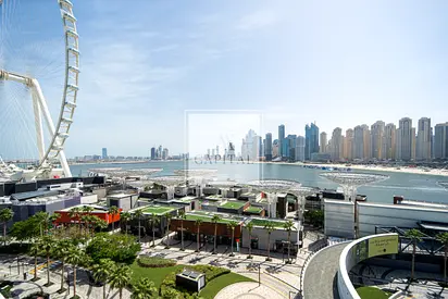 Upgraded | Great Layout | Ain Dubai View