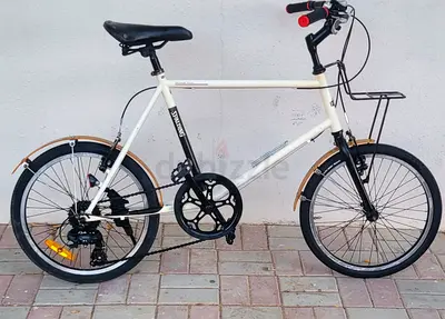 Compact 20-inch mini velo City Bike with Front Rack and Fender