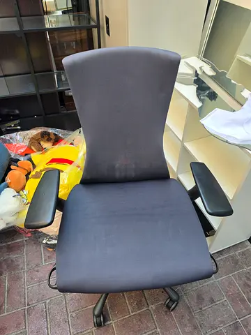 Embody Ergonomic Herman Miller Chair Fully Options
