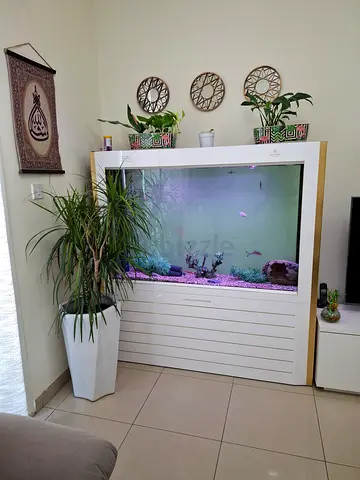 Large Built-in Aquarium with Cabinet Stand - Ready to Use