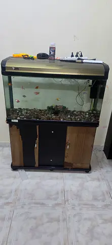 Complete 1metre Fish Aquarium with Stand, Filter and Accessories