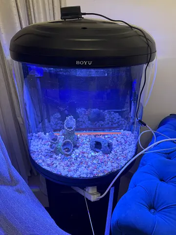 🐠 JUST ADD WATER & FISH! – FULL AQUARIUM SETUP