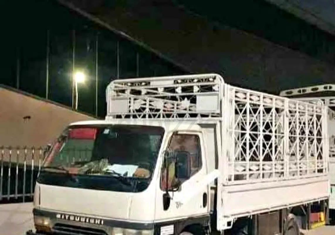 DPV_View_Image_0