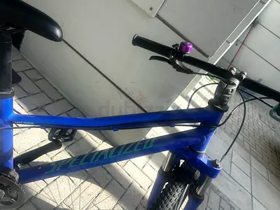 Specialized Hotrock Blue Mountain Bike 24”