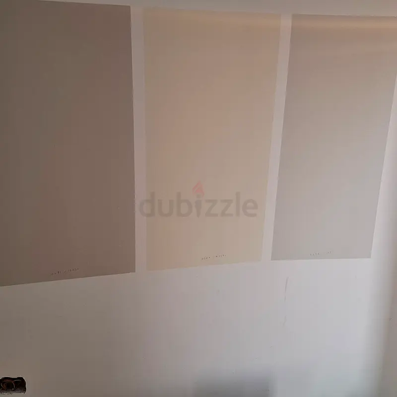 DPV_View_Image_9