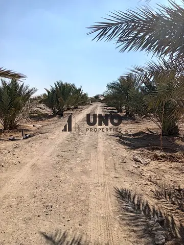 Farm for Sale in Al Ajban - Sayh Hirz | 600x600 sqft | 2 Wells + Filler