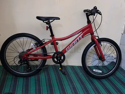 Ginat xtc 20 inch kids bike
