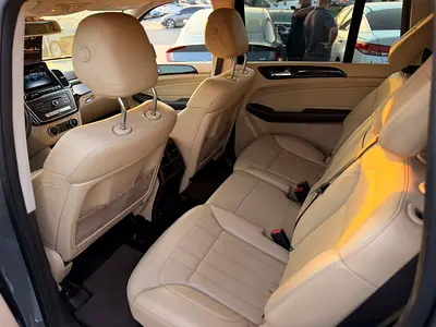 2019 Mercedes-BENZ GLS 照片 9