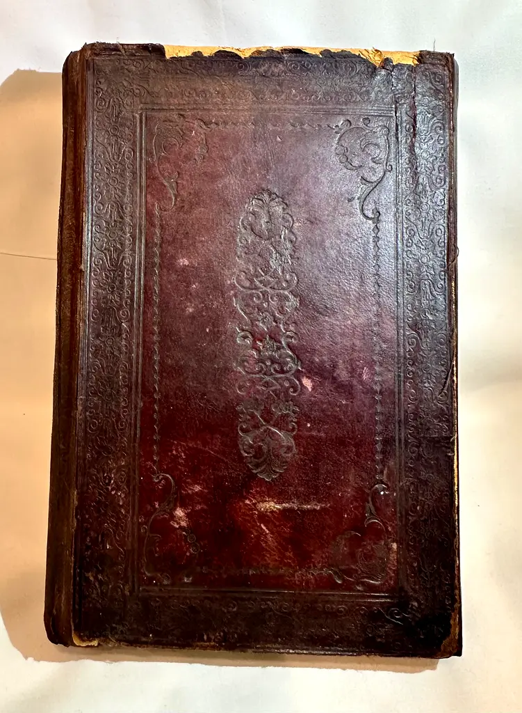 gallery-image