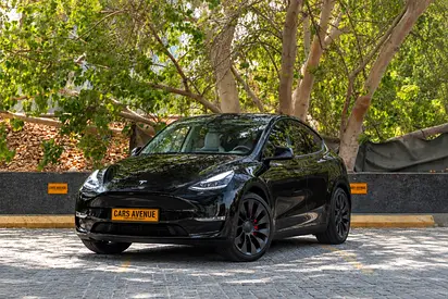 Tesla Model Y Performance 2023 GCC Specs
