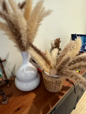 Decorative vase set with pampas/stems