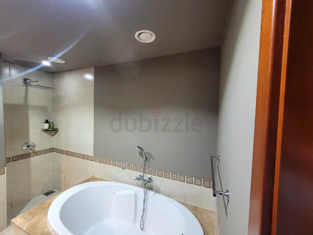 DPV_View_Image_1