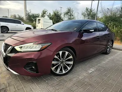 2019 Nissan MAXIMA 照片 4