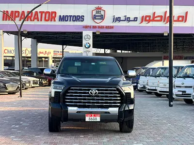 2023 Toyota TUNDRA 照片 3