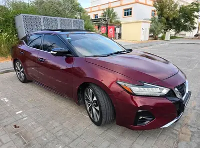 2019 Nissan MAXIMA 照片 5